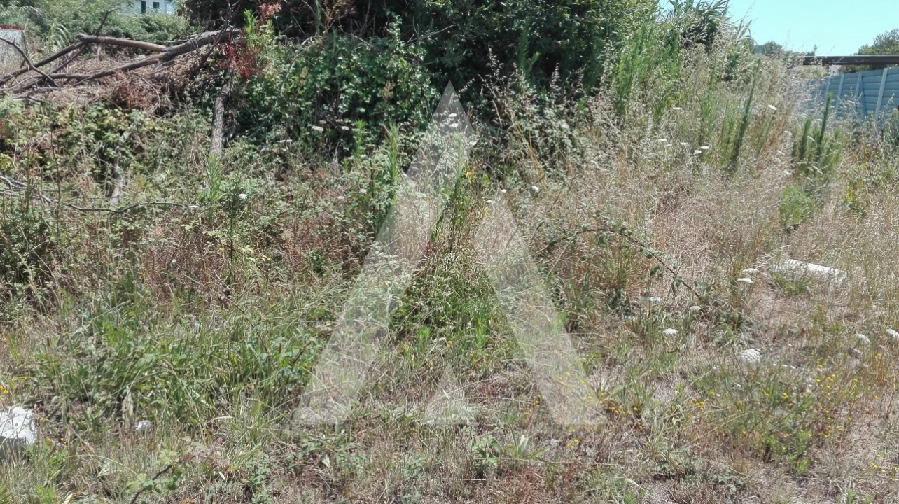 Terreno para Venda em Ílhavo (São Salvador) Foto 2