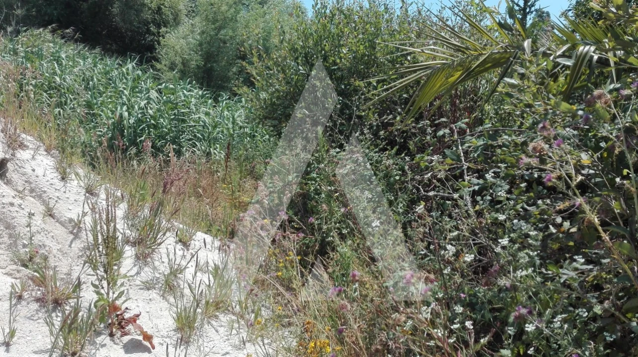 Terreno para Venda em Ílhavo (São Salvador) Foto 3