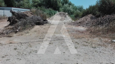 Terreno para Venda em Ílhavo (São Salvador)
