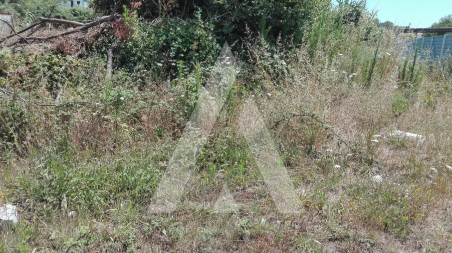 Terreno para Venda em Ílhavo (São Salvador) Foto 2