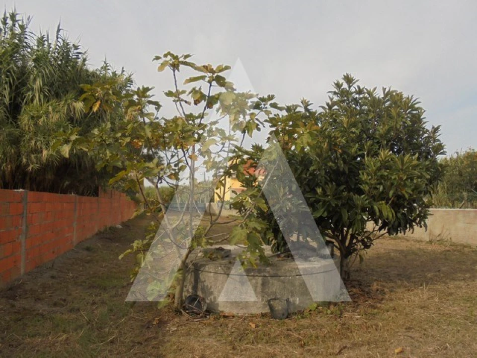 Terreno para Venda em Oliveirinha Foto 2