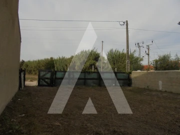 Terreno para Venda em Oliveirinha