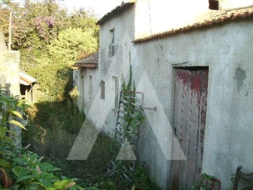 Terreno para Venda em Oliveirinha