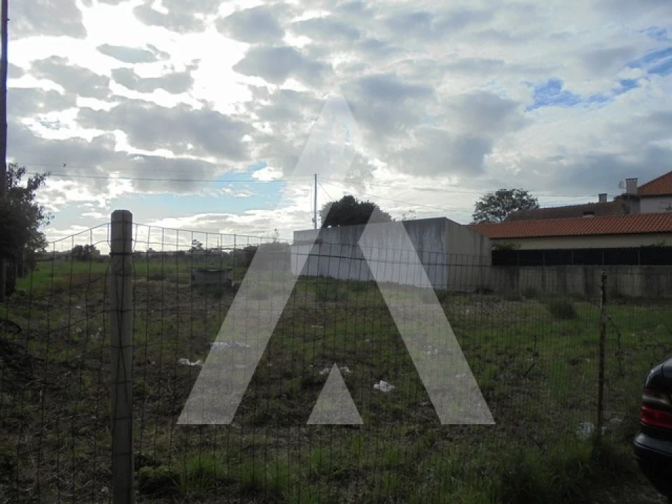Terreno para Venda em Esgueira Foto 4
