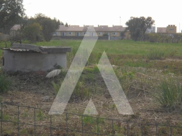 Terreno para Venda em Esgueira
