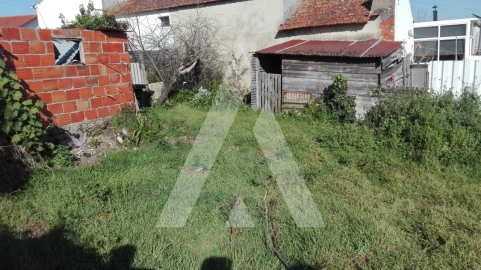 Terreno para Venda em Ílhavo (São Salvador)