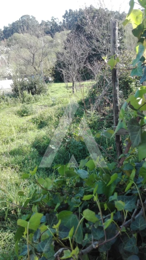 Terreno para Venda em Ílhavo (São Salvador)