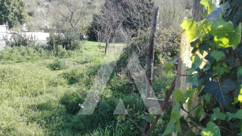 Terreno para Venda em Ílhavo (São Salvador)