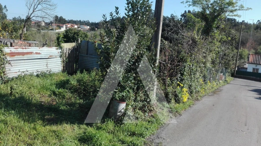 Terreno para Venda em Ílhavo (São Salvador) Foto 3