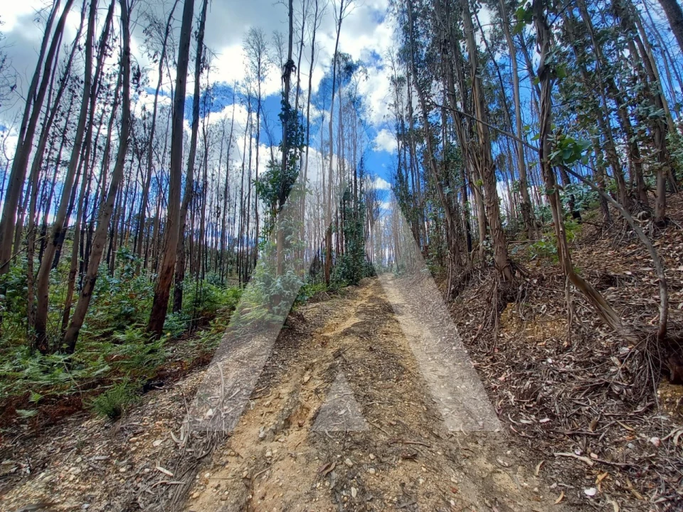 Terreno para Venda em Espite Foto 9