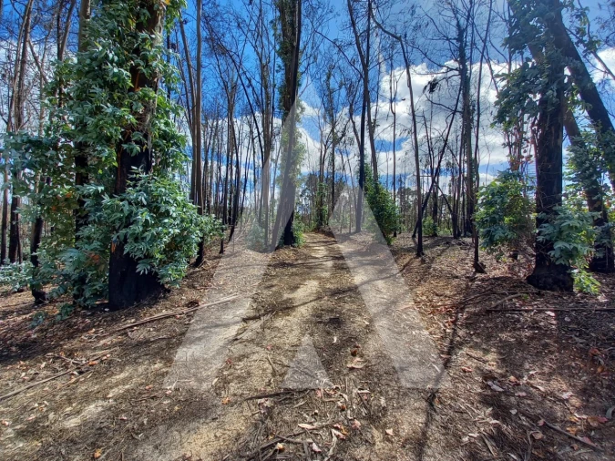 Terreno para Venda em Espite Foto 16