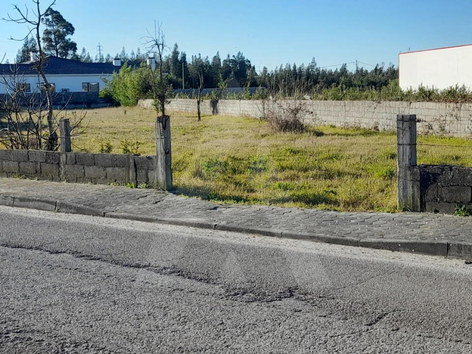 Terreno para Venda em Calvão Foto 5