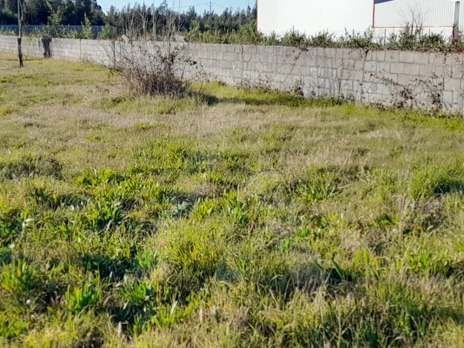 Terreno para Venda em Calvão Foto 4