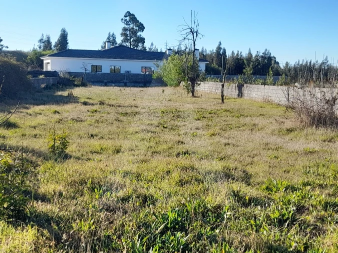 Terreno para Venda em Calvão Foto 1
