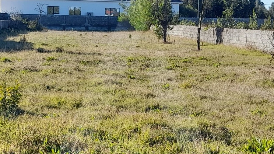 Terreno para Venda em Calvão
