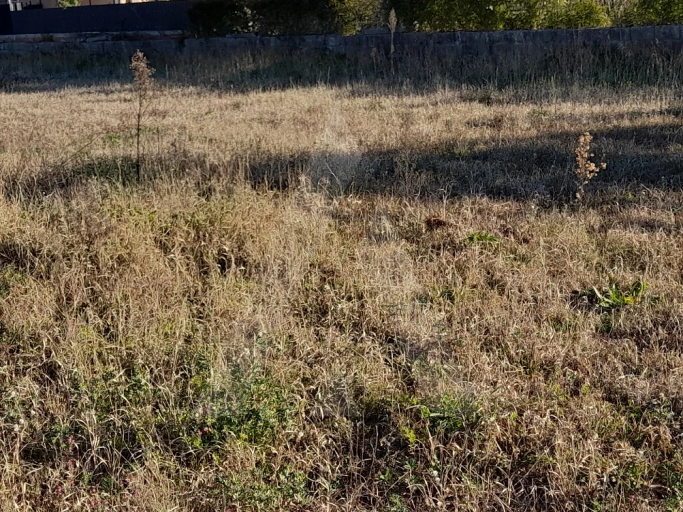 Terreno para Venda em Calvão Foto 3