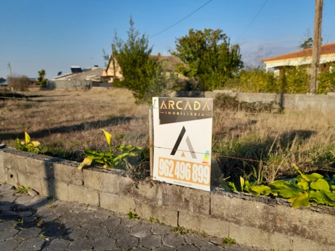 Terreno para Venda em Calvão Foto 5