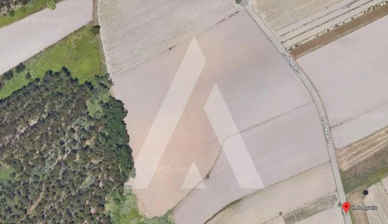 Terreno para Venda em Requeixo, Nossa Senhora de Fátima e Nariz Foto 4