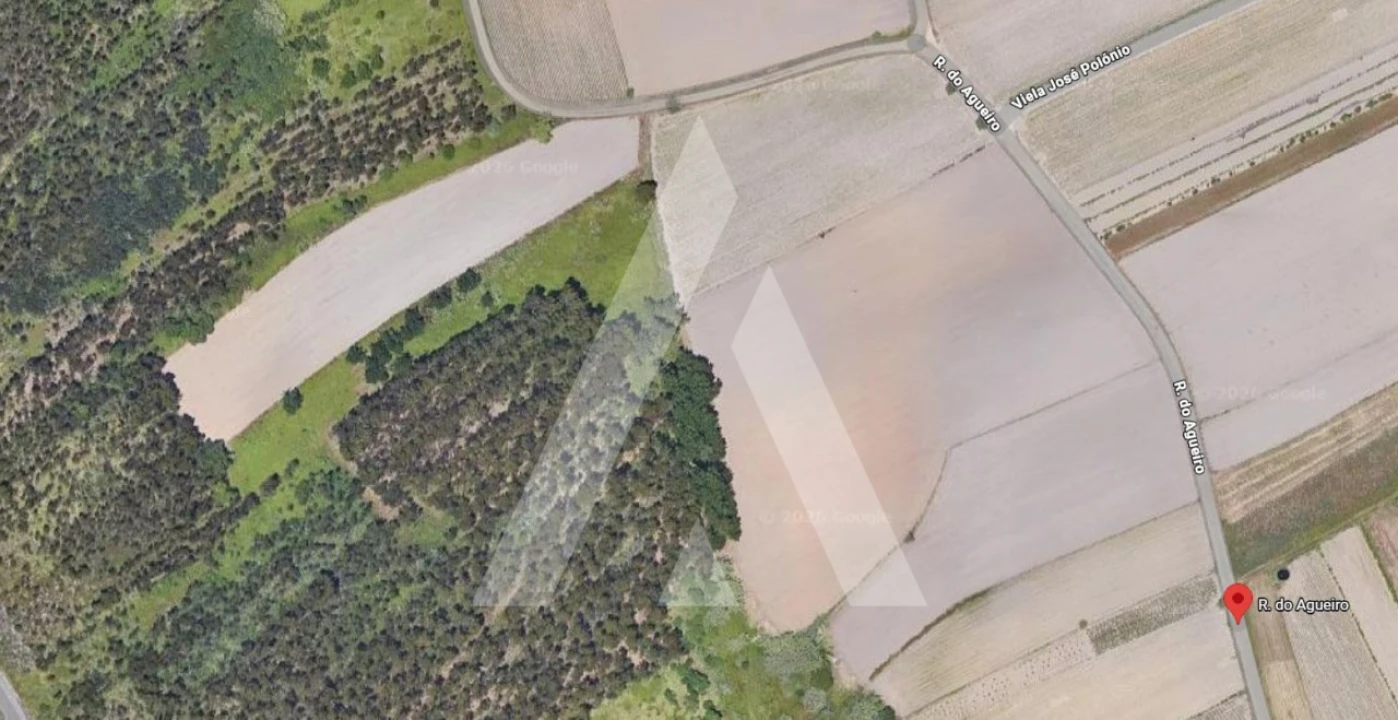 Terreno para Venda em Requeixo, Nossa Senhora de Fátima e Nariz Foto 5