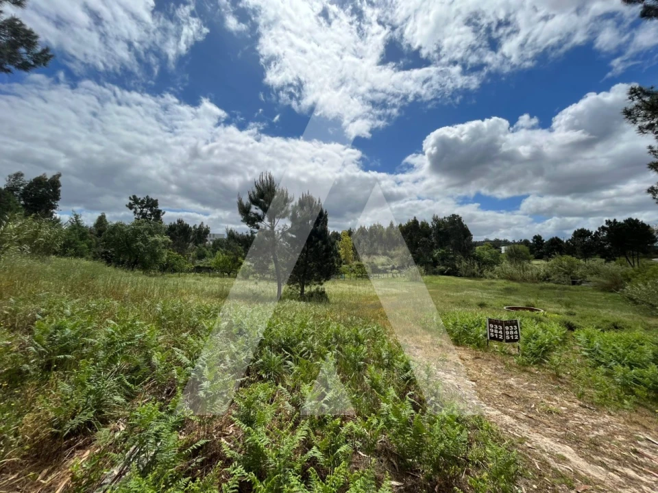 Terreno para Venda em Marrazes e Barosa Foto 3