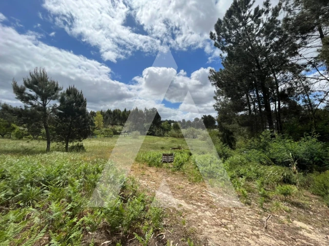 Terreno para Venda em Marrazes e Barosa Foto 2