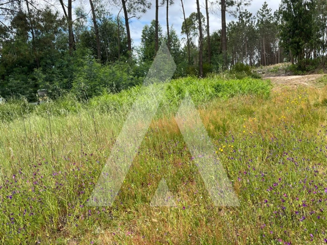 Terreno para Venda em Marrazes e Barosa Foto 7