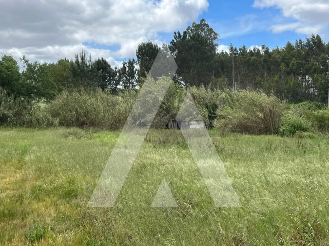Terreno para Venda em Marrazes e Barosa Foto 11