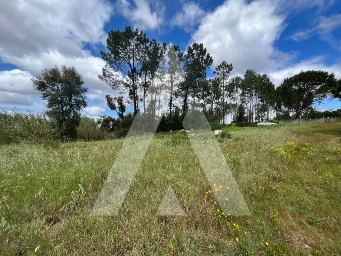 Terreno para Venda em Marrazes e Barosa Foto 13