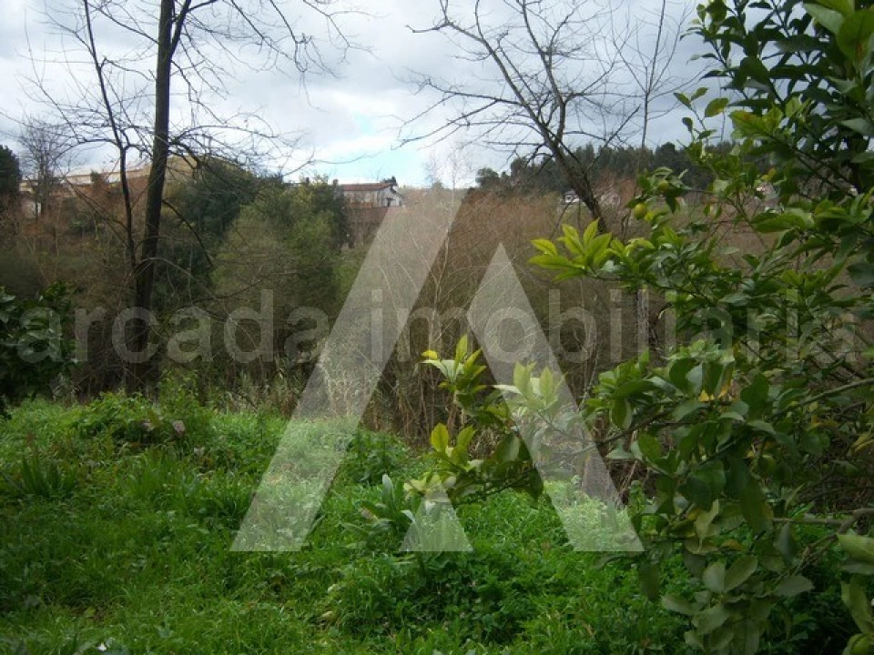 Terreno para Venda em Águeda e Borralha Foto 2