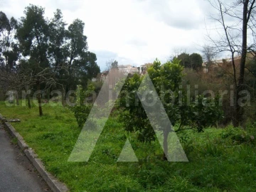 Terreno para Venda em Águeda e Borralha