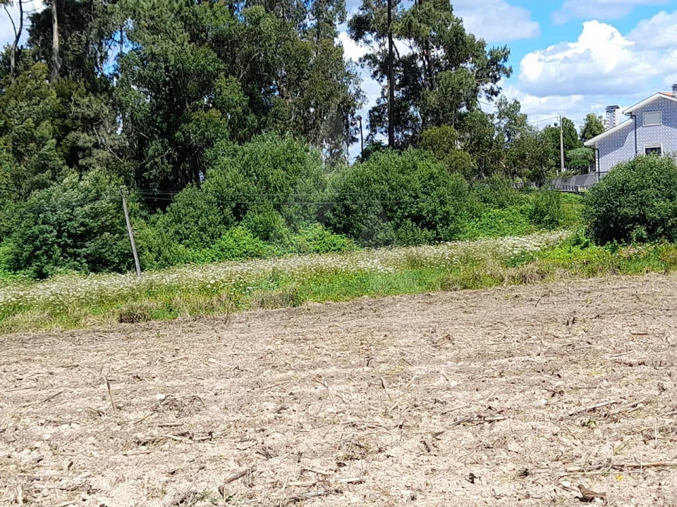 Terreno para Venda em São Bernardo Foto 1