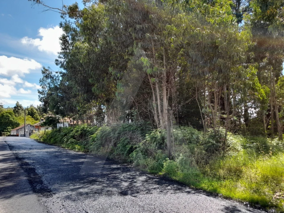 Terreno para Venda em São Bernardo Foto 5