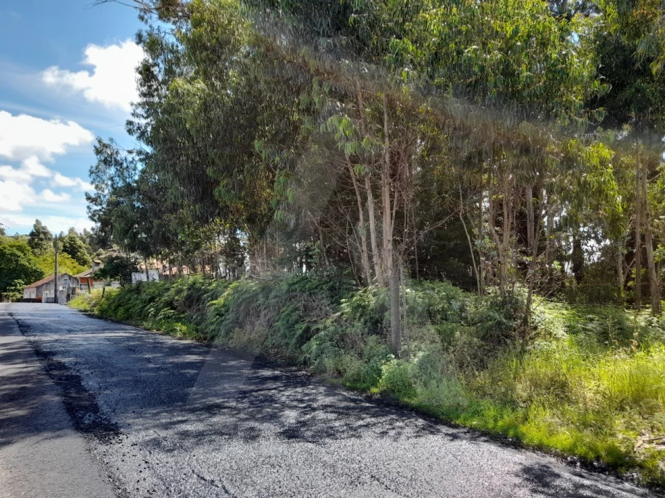 Terreno para Venda em São Bernardo Foto 7