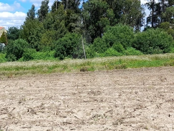 Terreno para Venda em São Bernardo