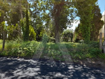Terreno para Venda em São Bernardo