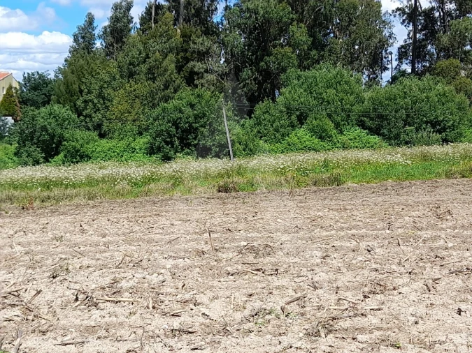 Terreno para Venda em São Bernardo Foto 2