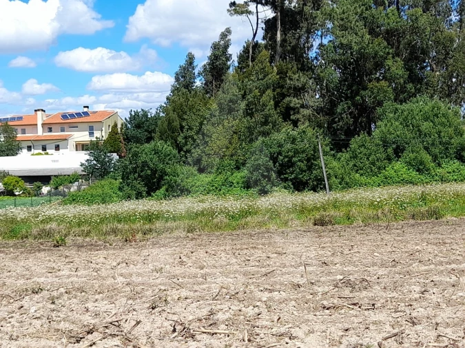 Terreno para Venda em São Bernardo Foto 3