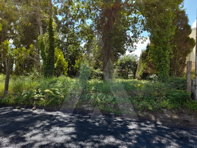Terreno para Venda em São Bernardo Foto 4