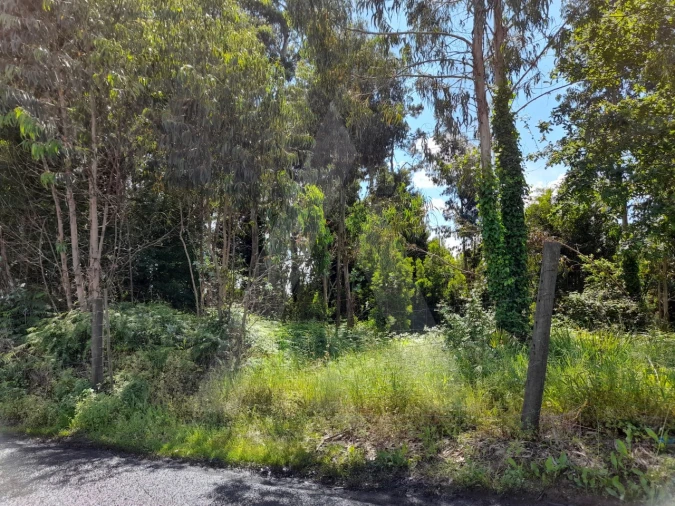 Terreno para Venda em São Bernardo Foto 6