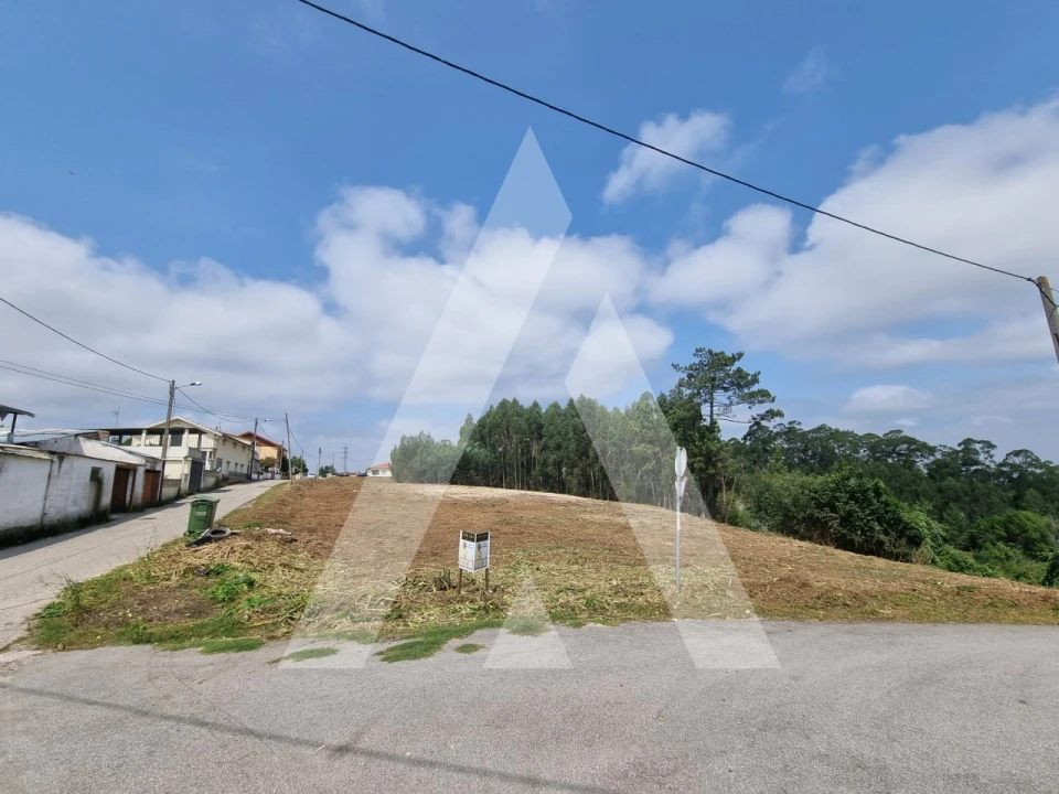 Terreno para Venda em São Martinho do Bispo e Ribeira de Frades Foto 3