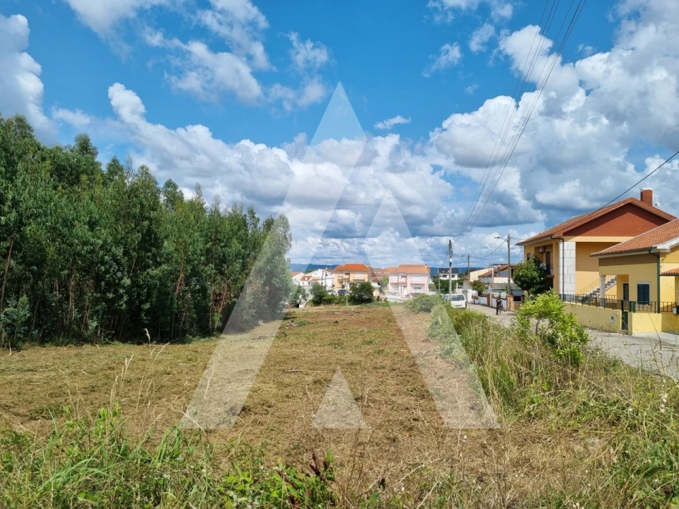Terreno para Venda em São Martinho do Bispo e Ribeira de Frades Foto 8