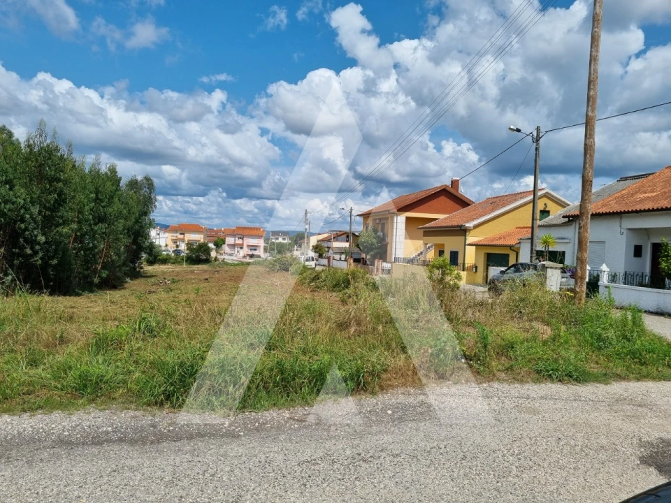 Terreno para Venda em São Martinho do Bispo e Ribeira de Frades Foto 9