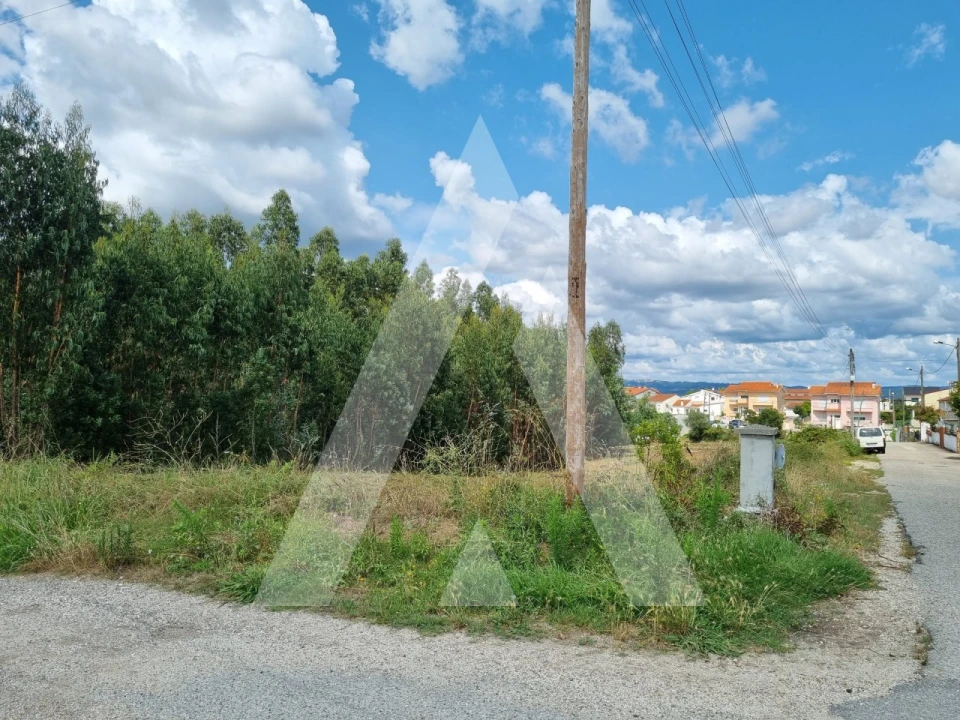 Terreno para Venda em São Martinho do Bispo e Ribeira de Frades Foto 11