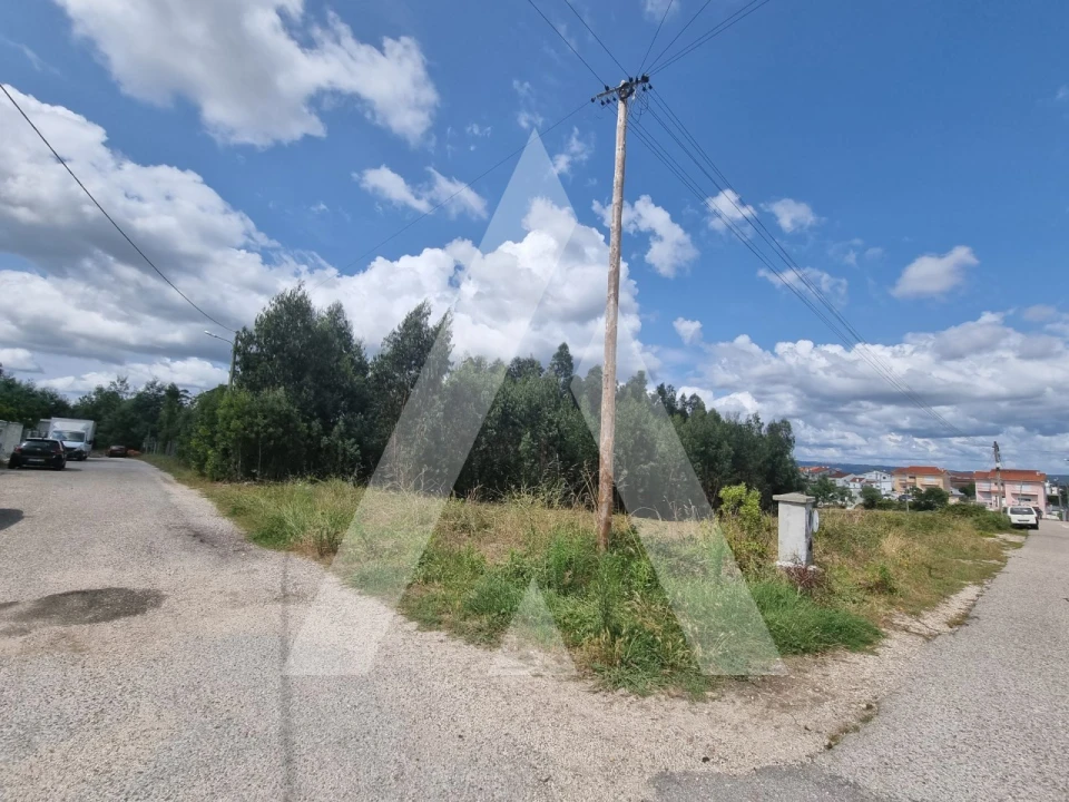 Terreno para Venda em São Martinho do Bispo e Ribeira de Frades Foto 12