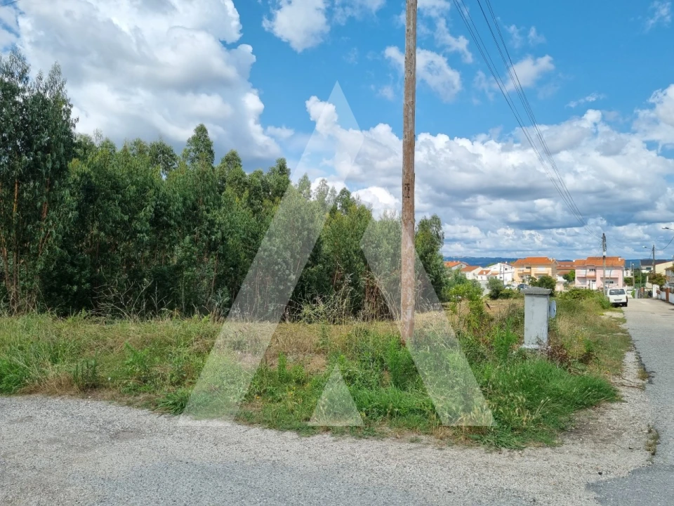 Terreno para Venda em São Martinho do Bispo e Ribeira de Frades Foto 13