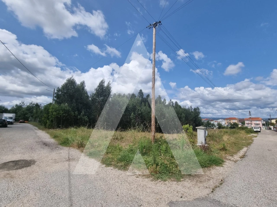 Terreno para Venda em São Martinho do Bispo e Ribeira de Frades Foto 14