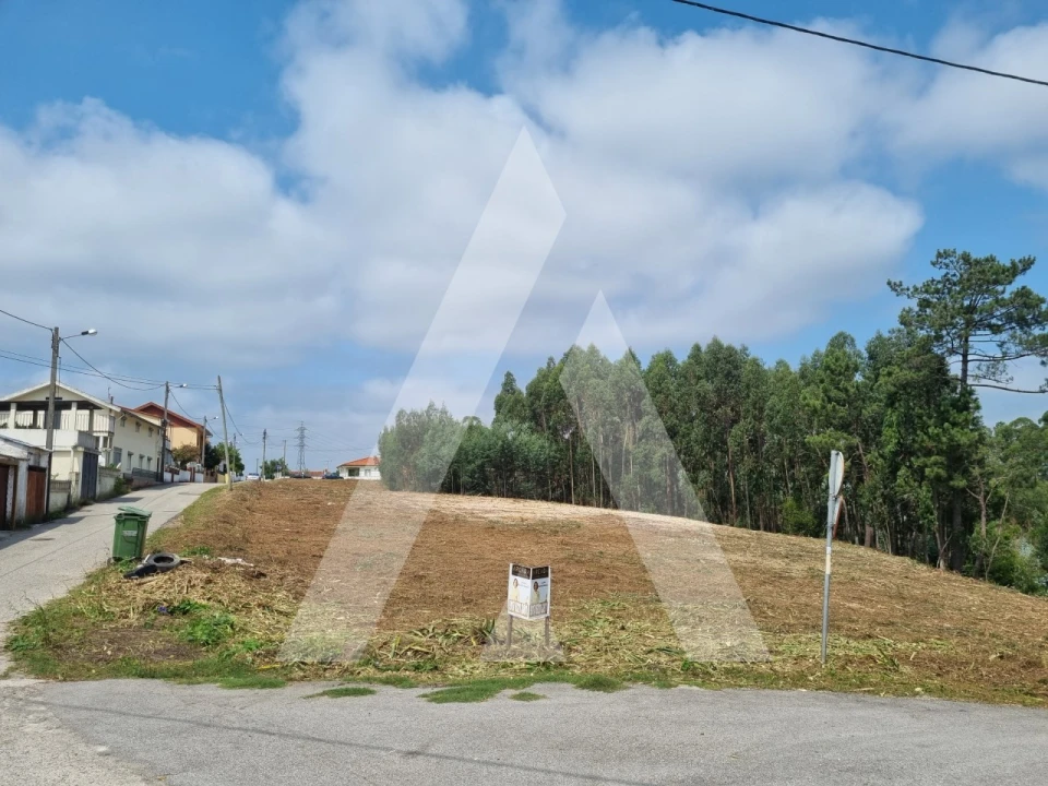 Terreno para Venda em São Martinho do Bispo e Ribeira de Frades Foto 2