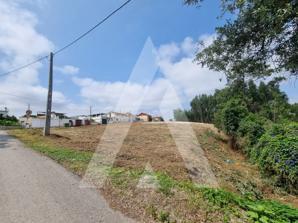 Terreno para Venda em São Martinho do Bispo e Ribeira de Frades Foto 19