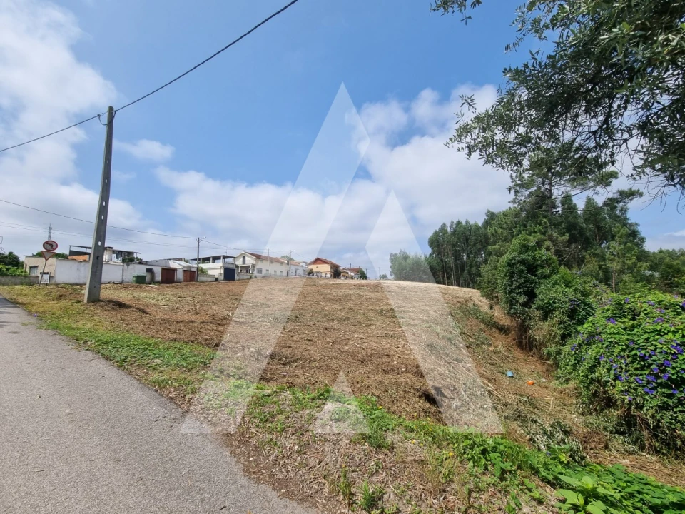 Terreno para Venda em São Martinho do Bispo e Ribeira de Frades Foto 20