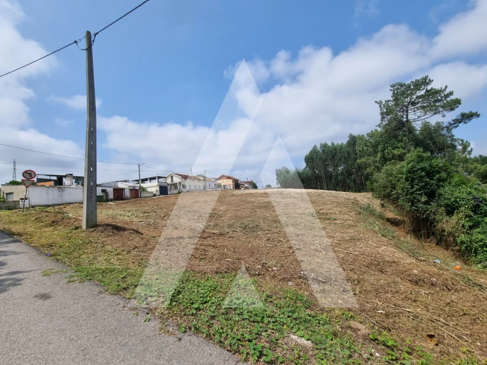 Terreno para Venda em São Martinho do Bispo e Ribeira de Frades Foto 21